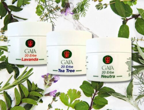 GAIA CREAM 20 ERBE